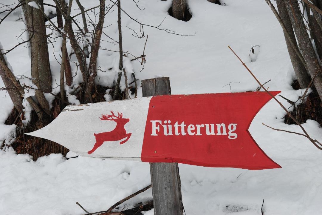 Photo of Others in Seebach