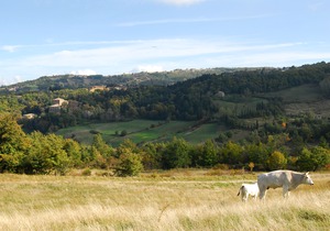 A Stay Surrounded by Greenery - Agriturismo La Piaggia -App 2 Guests in Vivo D'orcia