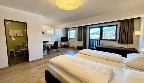Basic Triple Room