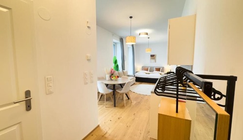 Studio, 1 King Bed with Sofa bed