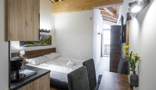 Basic Quadruple Room, Mountain View