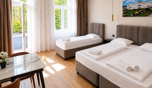 Deluxe Apartment, City View
