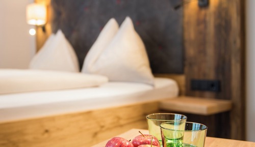 Club Double Room, Mountain View