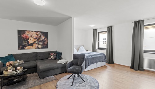 Classic Apartment, 1 Double Bed with Sofa bed