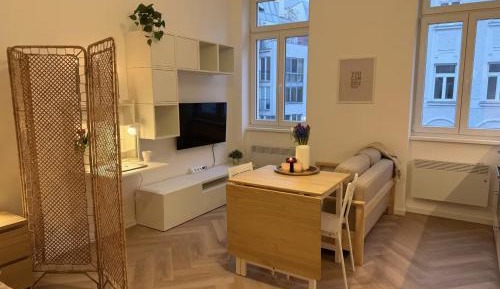 Classic Apartment