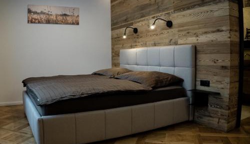 Apartment with Mountain View