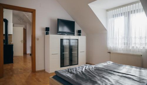 One-Bedroom Apartment with View