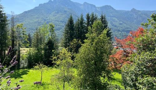 Double Room with Mountain View