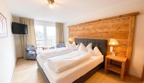 Superior Double Room with Mountain View