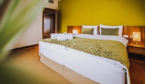Double Room with Balcony without Lake View