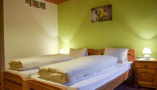 Double or Twin Room with Mountain View