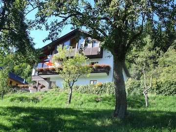 Hermagor-Pressegger See Apartment | 1 bedroom apartment - Ferienhaus Waldhof