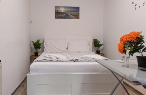 Brigittenau Apartment | Cozy Budget Friendly Rooms Near Danube & 15 Mins to Vienna Center