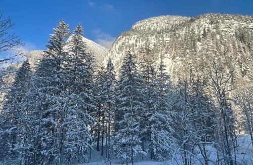 Lofer Ski Chalet | Spacious Chalet for Ski & Summer Adventures
