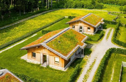 Watschig Ski Chalet | Siwitz 55