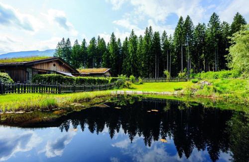 Watschig Ski Chalet | Buchen 54