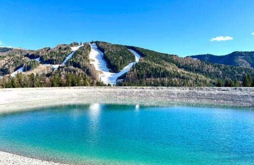 Spital am Semmering Apartment | Villa Natalie - Panorama Apartment 2 mit Bergblick, Semmering