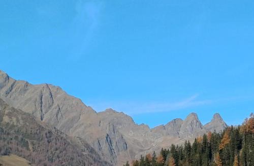 Assling Ski Chalet | Chalets Dolomiti living