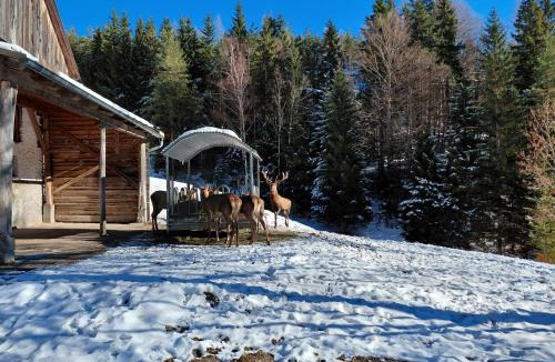 Ferlach Apartment | Bauernchalet Orainza
