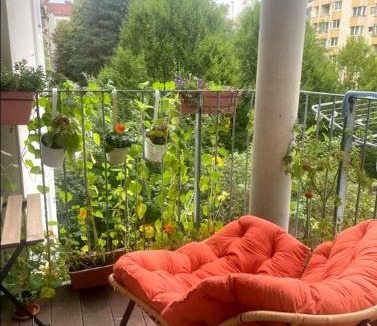 Rudolfsheim-Funfhaus Bed & Breakfast | MariaHilferHome
