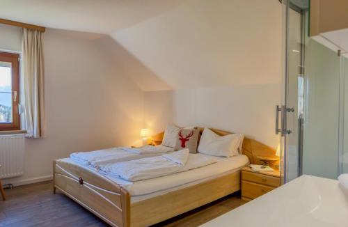 Kotschach-Mauthen House | Jukbichl