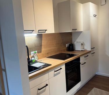 Klagenfurt am Woerthersee Apartment | LakeCity Apartment
