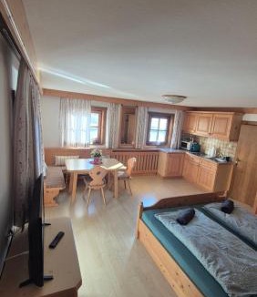 Saalfelden am Steinernen Meer Apartment | Theurerhof