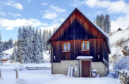 Sankt Lambrecht Ski Chalet | Landhaus Auerling, Chalet am Wald mit Sauna, Kamin & Garten