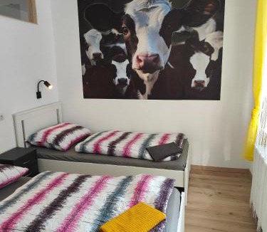 Sankt Martin an der Raab Apartment | Ferienwohnung Landliebe, 2 Schlafzimmer, 5 Pers, Nähe Jennersdorf