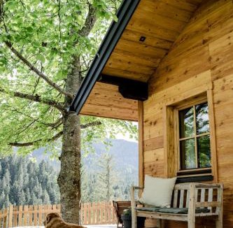 Annaberg im Lammertal House | Hütte Neuhaus