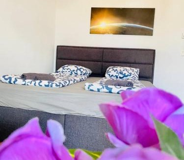 Brigittenau House | Cozy Rooms in Brigittenau Area MM23