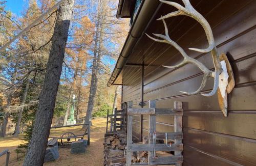 Aflenz Kurort Apartment | Almhütte Steirische Botschaft