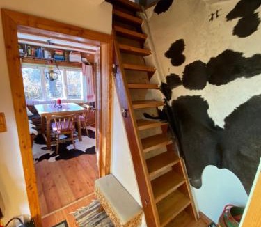 Aflenz Kurort Apartment | Almhütte Steirische Botschaft