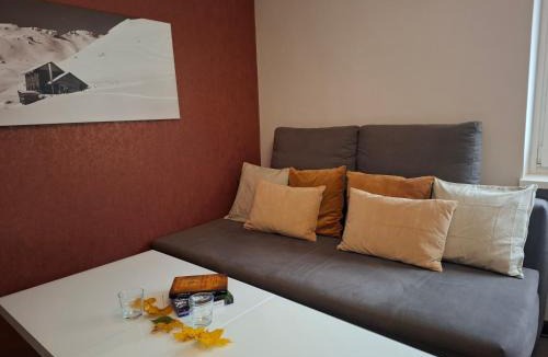 Bad Hofgastein Apartment | Villa Rowa by Holiday Gastein