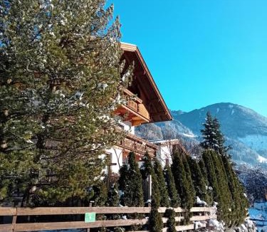 Ramsau im Zillertal Apartment | Gästehaus Müllauer