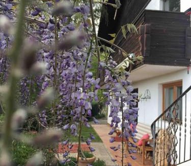 Thal House | Charmantes Landhaus mit Garten und traumhaftem Fernblick