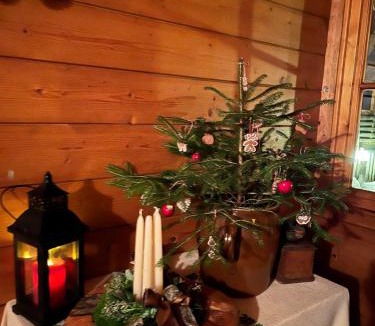 Hallstatt Apartment | Appartement Emilia