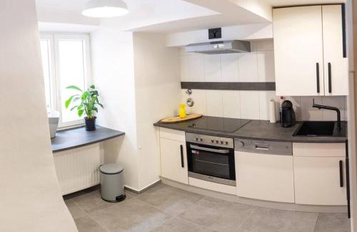 Hallein Apartment | Modern Living in a Historical Surrounding