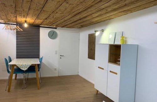 Hallein Apartment | Modern Living in a Historical Surrounding