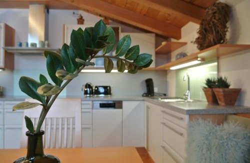 Scheffau am Wilden Kaiser Apartment | Appartement Seespitzhof