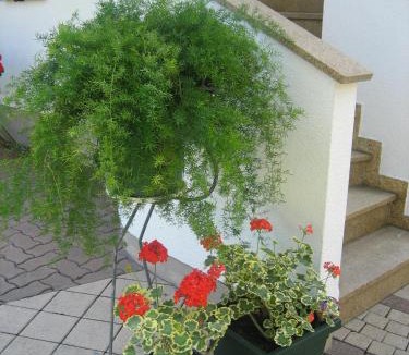 Lofer Apartment | Appartement Weissbacher