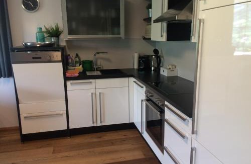 Kirchberg in Tirol Apartment | Appartement Leitnerhof