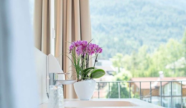 Gotthard - Fine Living Apartments