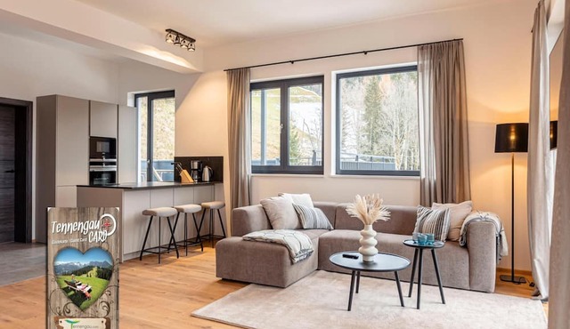 Penthouse With Nice Terrace