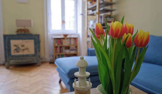 Your sunny, central and quiet home with garden