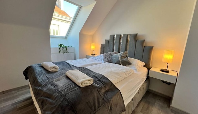Elegant 2+1 BR Apt at Vienna's Vibrant 3. District