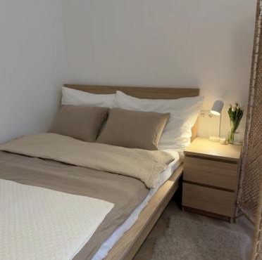 Renovated Apartment near Center