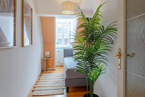 Quiet Courtyard Altstadt Suite - 3BR & Free Parking by HERO HOMES Graz