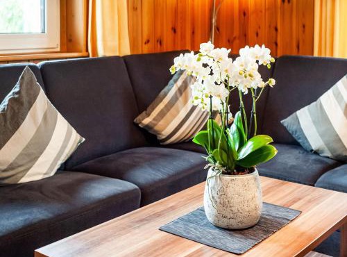 Chalet in Montafon near Ski Lifts