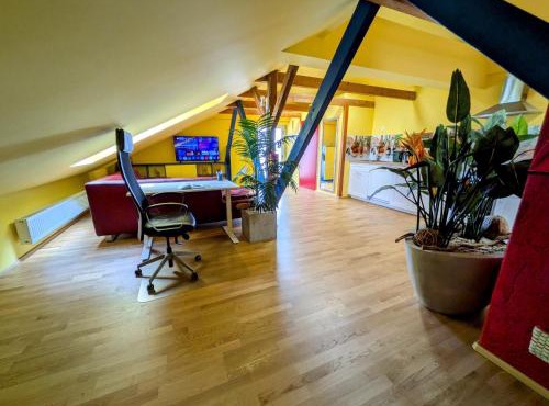 Anton's bunte Welt (100 m², Parkplatz, Garten und viel mehr)